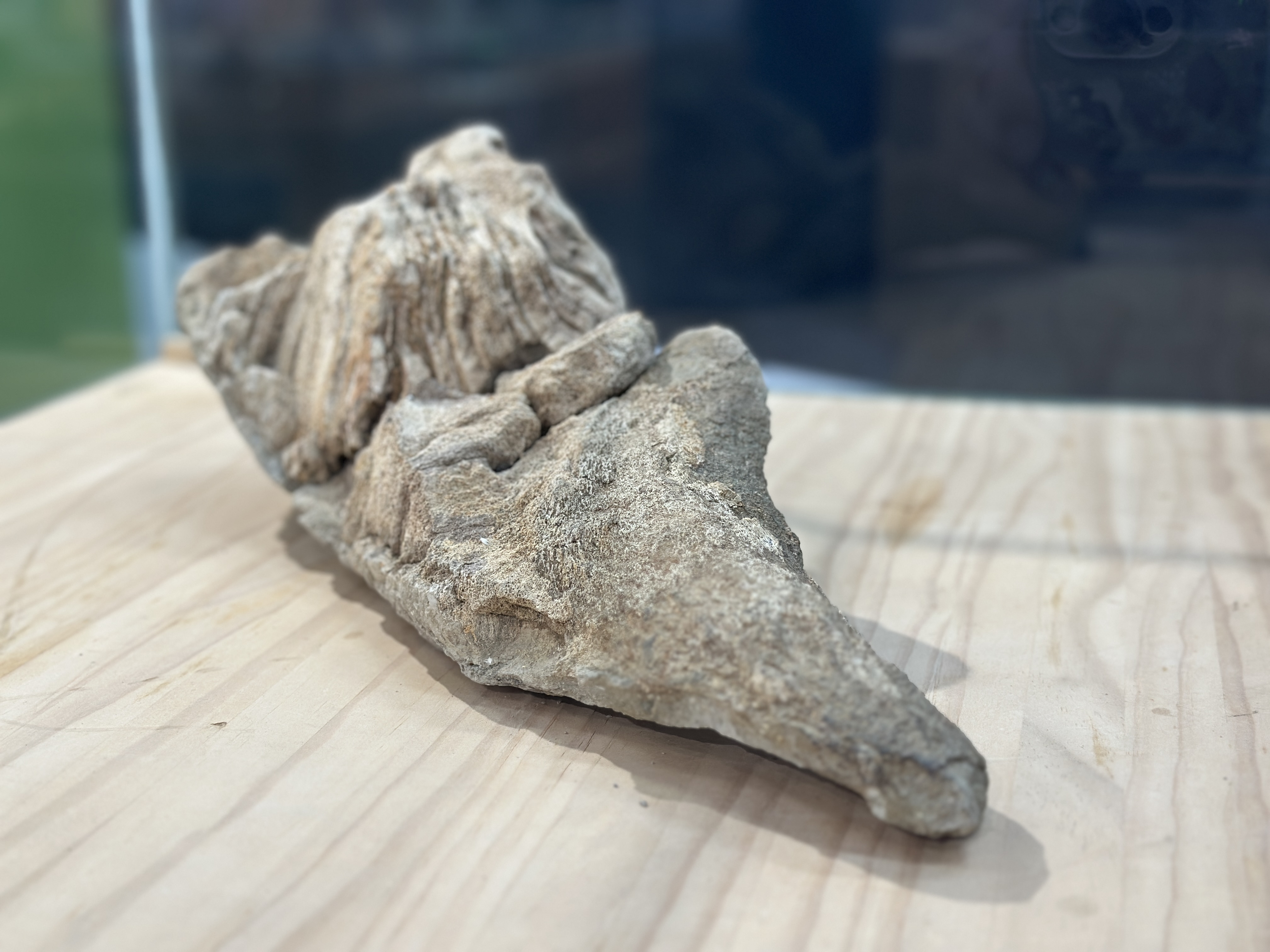 展覽照片3