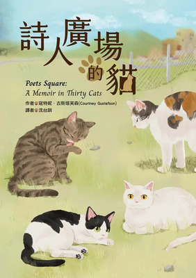 詩人廣場的貓圖片